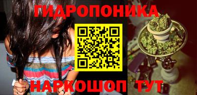 таблы Аша