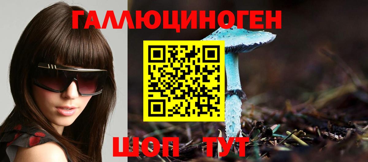 Псилоцибиновые грибы GOLDEN TEACHER Воткинск